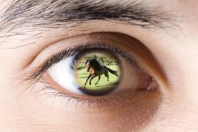 Hai occhio per il tuo cavallo?