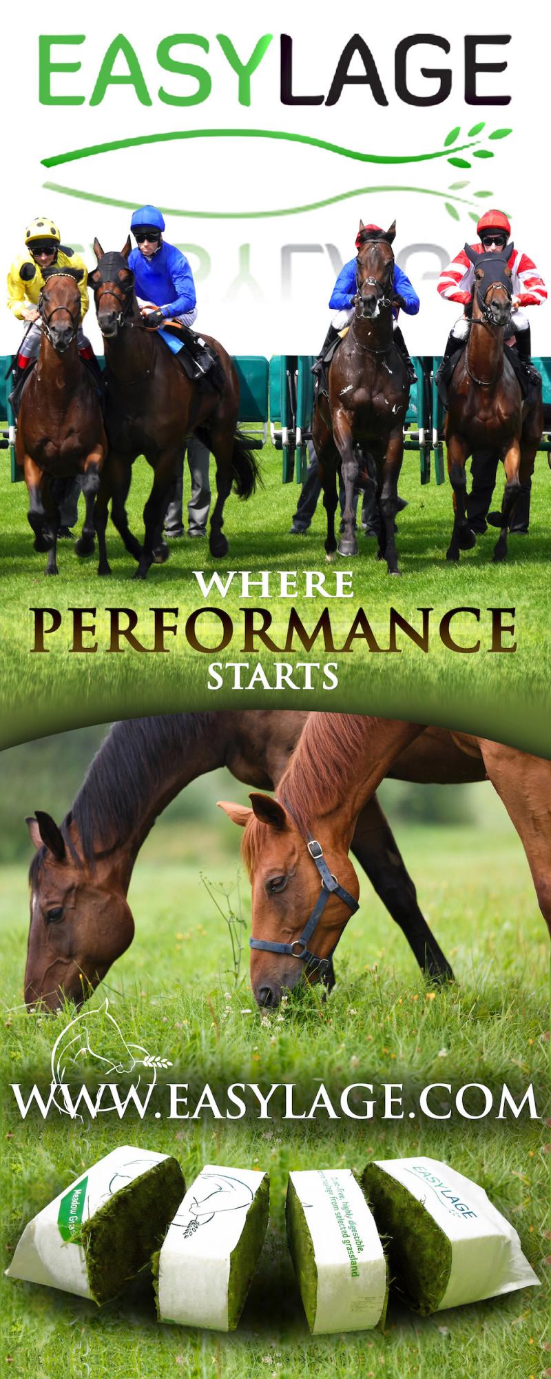 Where performance starts