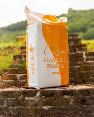 ALIMENTAZIONE DEL CAVALLO ALLERGICO