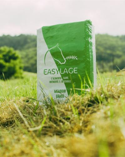 MEADOW GRASS PER UN CAVALLO IN FORZA E IN SALUTE