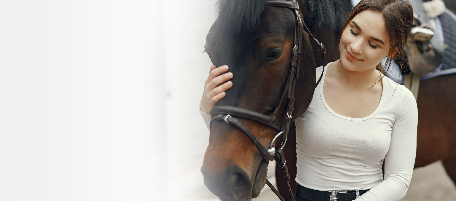 Easylage il cibo della salute come alimentazione del cavallo