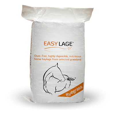 Mangime per cavalli: Ryegrass