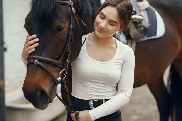 Cibo della salute per il cavallo