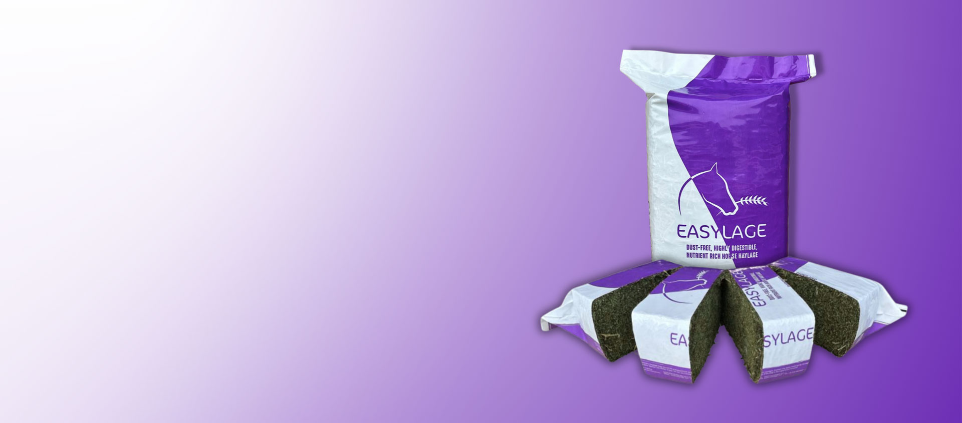 Easylage Superfit: il nuovo alimento per un’integrazione ottimale della dieta del cavallo